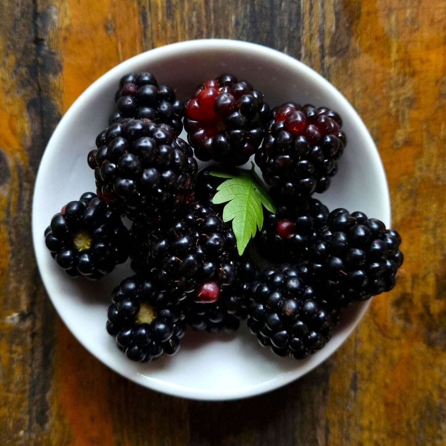 Blackberry Layering Note